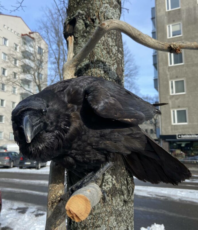 KORPPI Antiikkiliike Wanha Elias